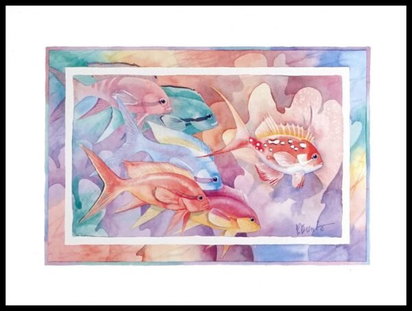 PBD 1306 Rainbow Basslets